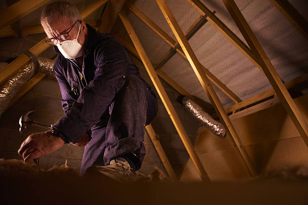 Best Insulation Materials and Products in St Paul, TX