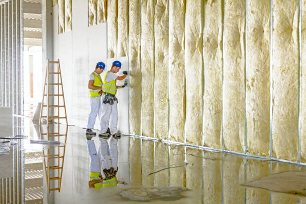 Best Residential Insulation in St Paul, TX